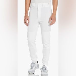 Mizuno Adult Men’s Premier Players Baseball Pants